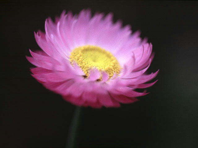 20041219224828.jpg