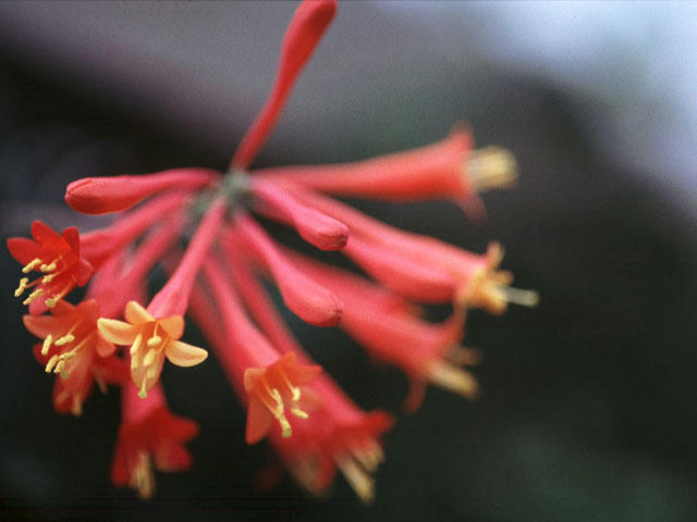 20041220004617.jpg