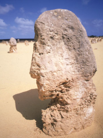 Pinnacles.jpg