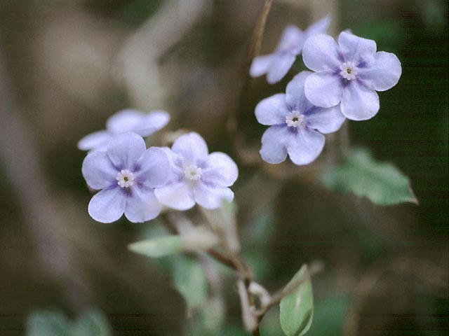 0404110502.jpg
