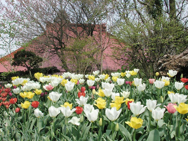 040411N977202.jpg