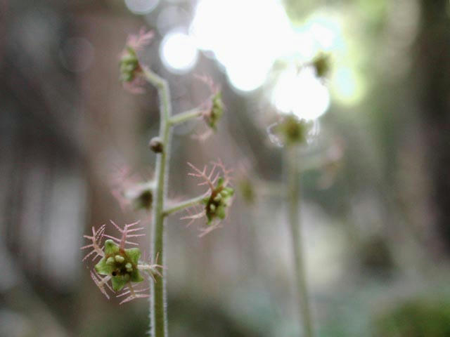 040313974902.jpg