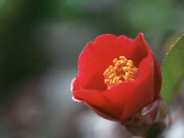 040222080202.jpg