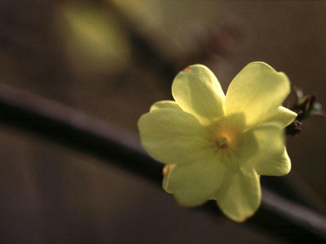 20050109205616.jpg