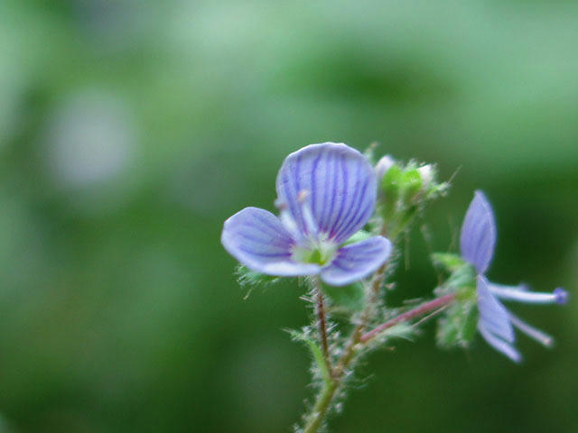 05080313.jpg