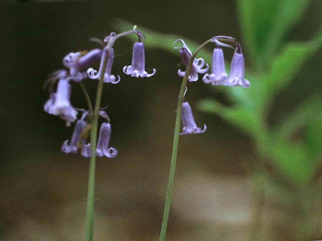 050512b0602.jpg