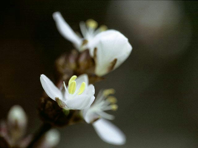 050512b1902.jpg