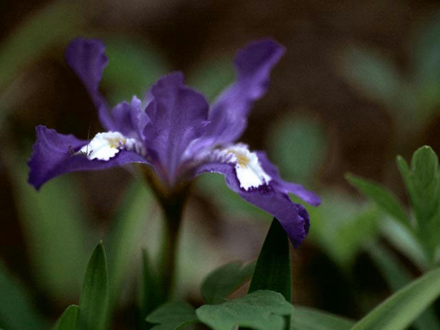 050512b2202.jpg