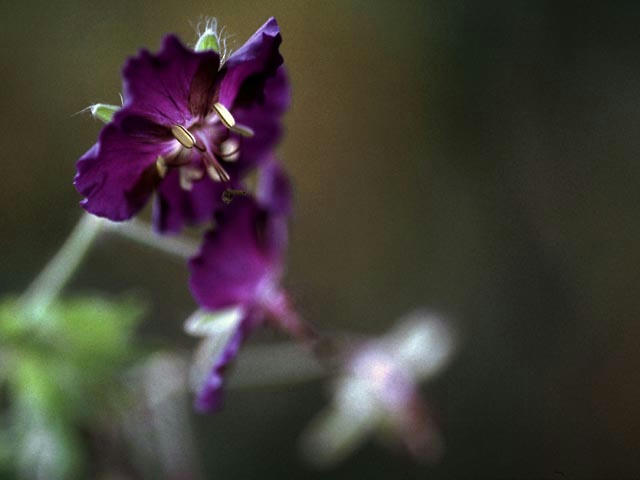 050512b3402.jpg