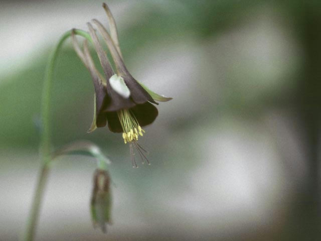 050514c3402.jpg