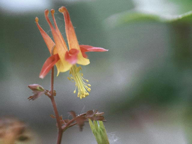 050514d0102.jpg