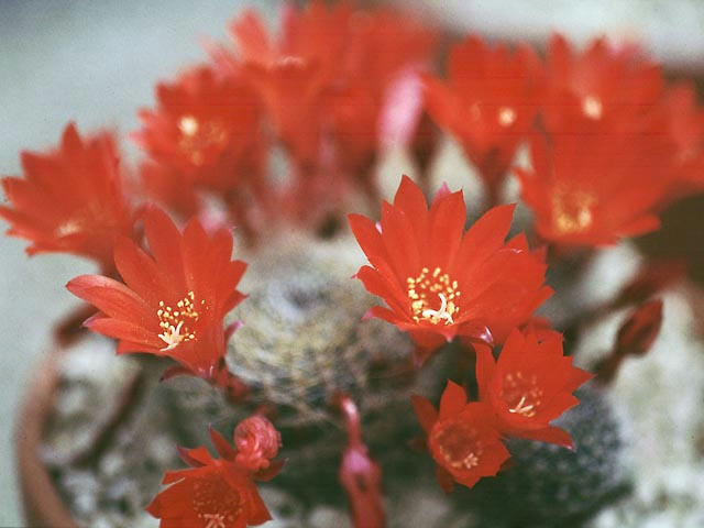 050515e3102.jpg