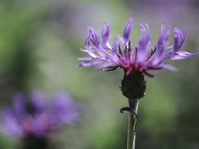 050515g2102.jpg