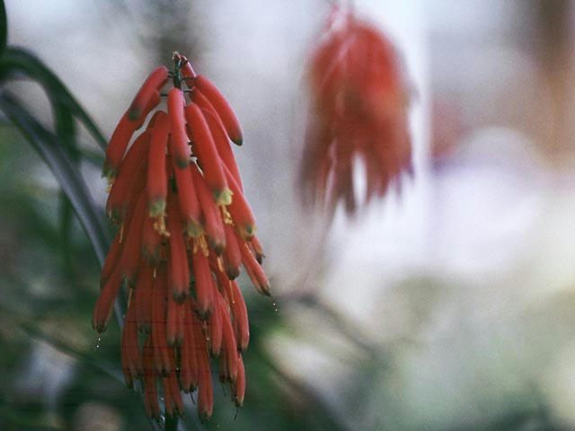 050515g2702.jpg