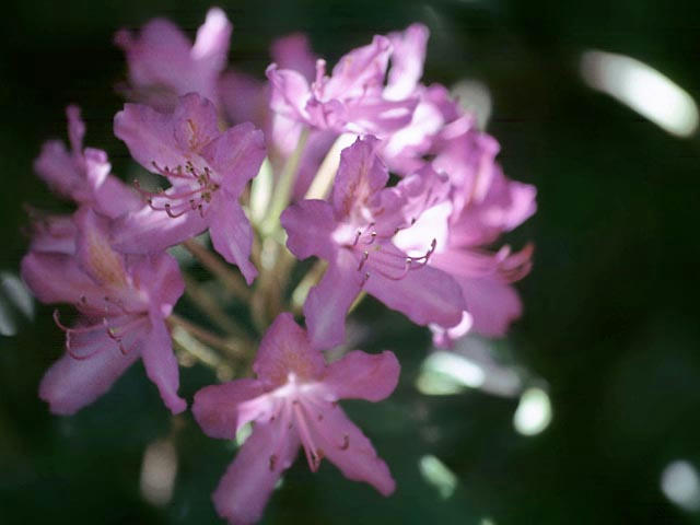 050515h1502.jpg