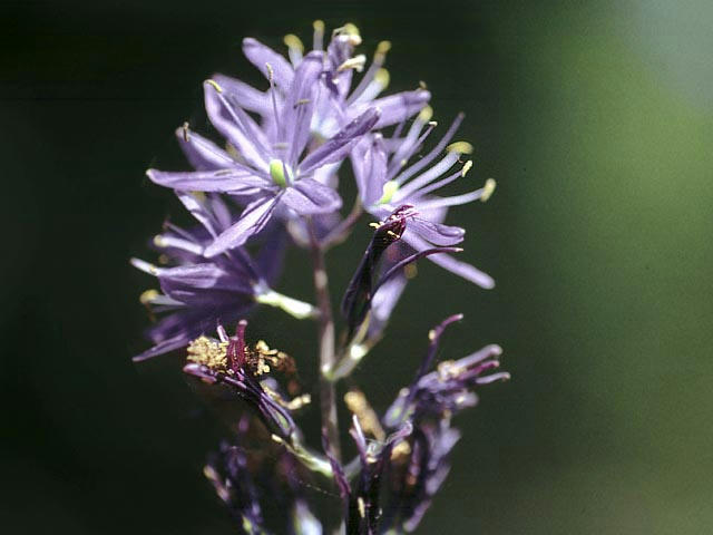 050515h1902.jpg