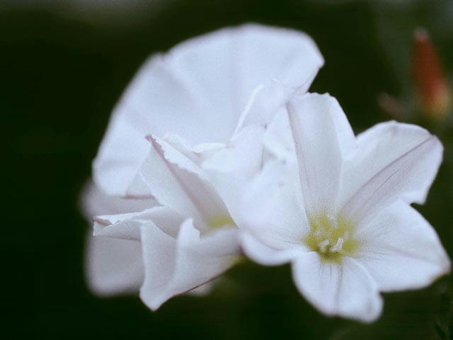050515i2303.jpg