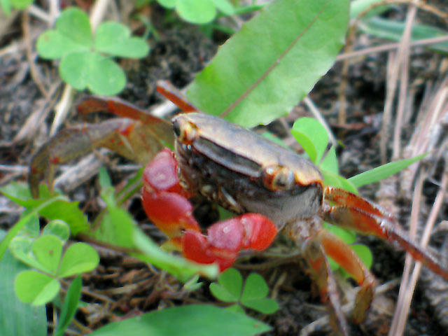 20050913160257.jpg