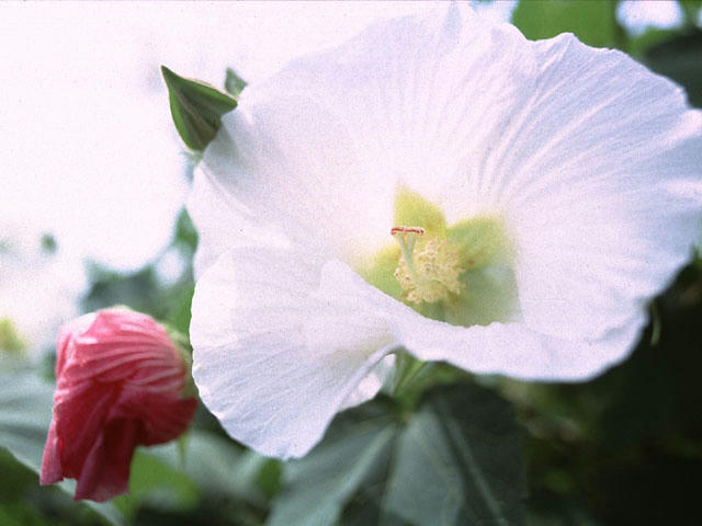20051018230718.jpg
