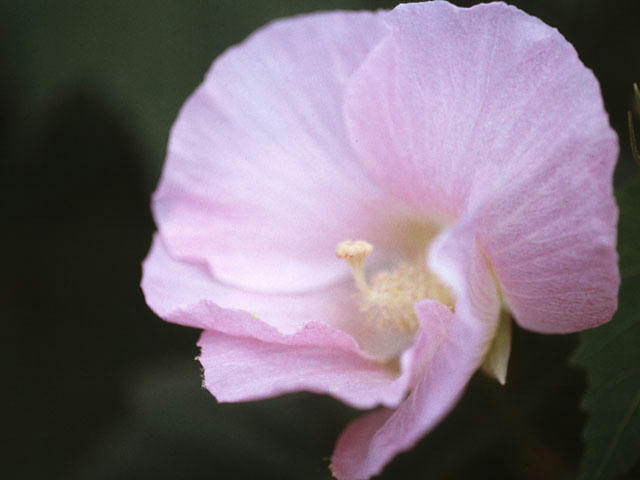 20051018232845.jpg