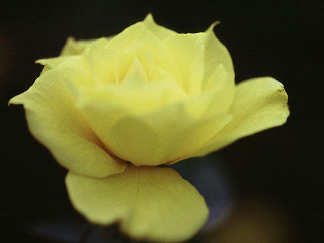 20060106074456.jpg