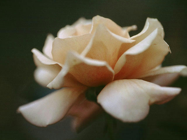 20060106075343.jpg