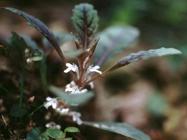 050417s01302.jpg