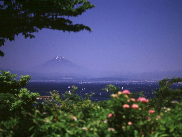 20041209074534.jpg