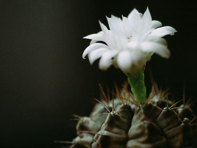 20050907060010.jpg