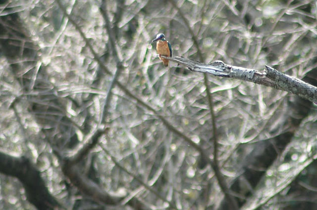 010_1211D_9776.jpg