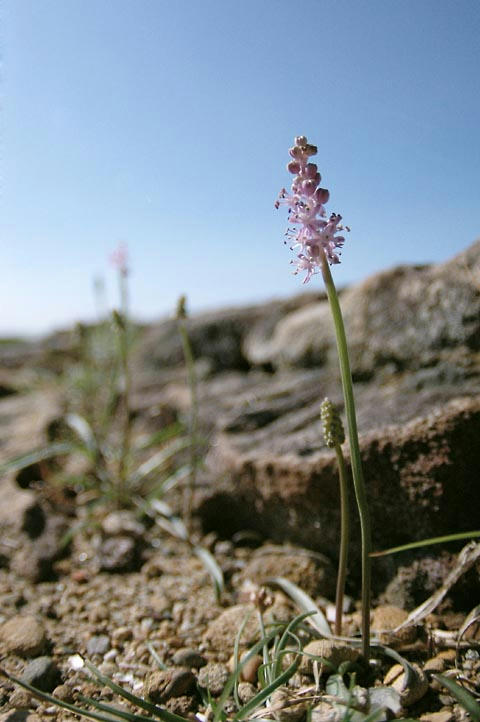 003_0710051356D_4375.jpg