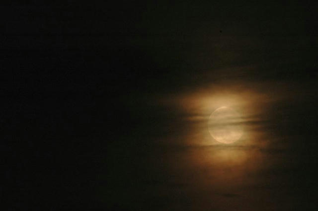 0_09082002C_2562.jpg