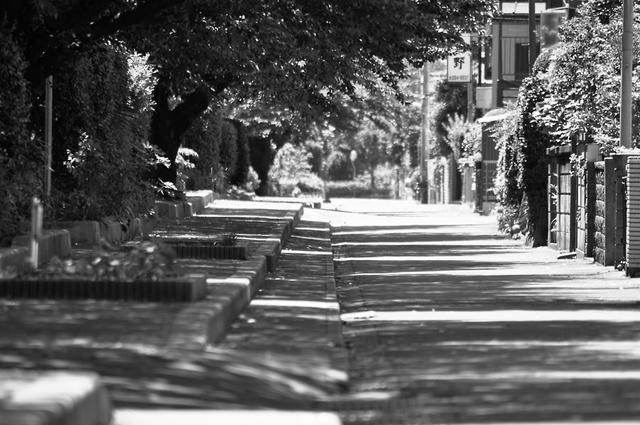 100718D9_42872.jpg