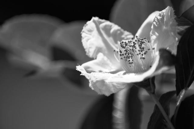 100718D9_42953.jpg
