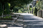 100718D9_4287.jpg