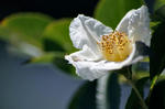 100718D9_4295.jpg