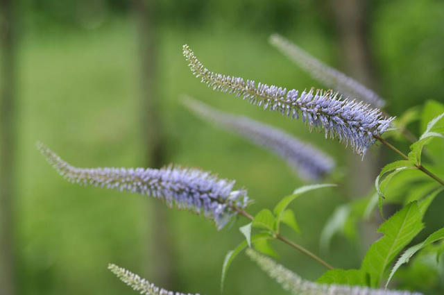 003_100619D9_3556.jpg