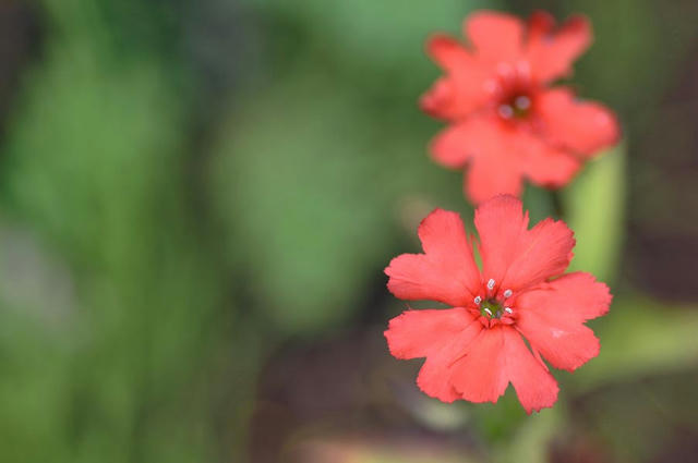 005_100619D9_36163.jpg