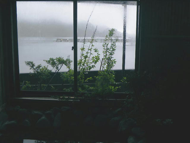 004_100619P4208.jpg