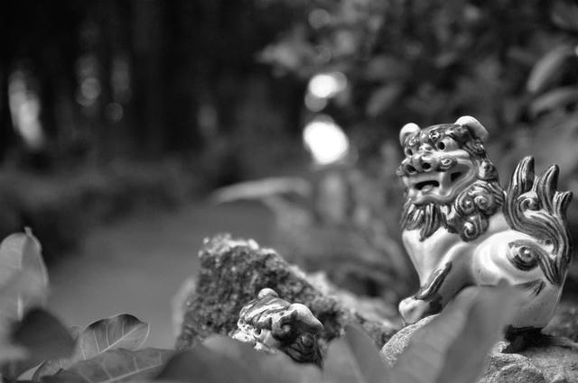 185_1010291108D_5762.jpg