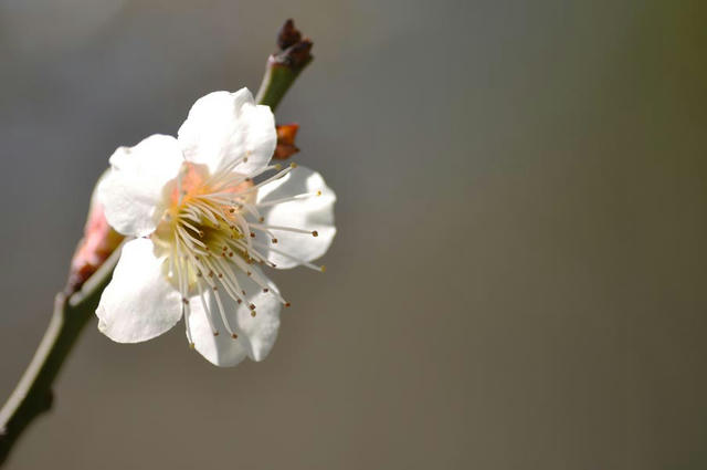 120313C_0440.jpg