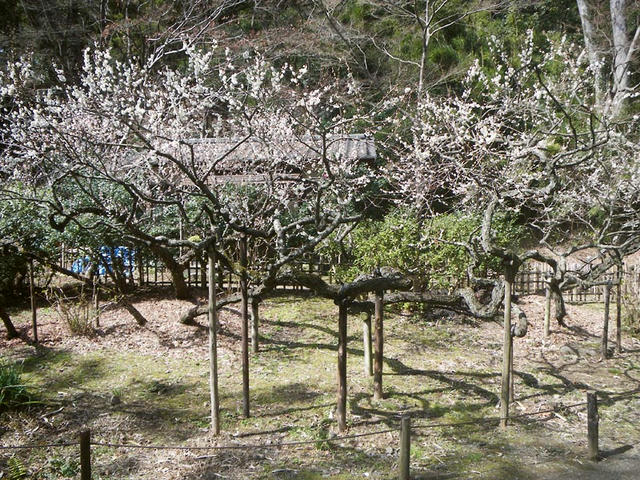 120313P54902.jpg