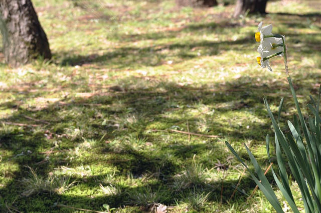 120313C_0488.jpg