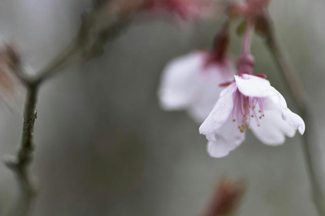 1004241044D9_2978.jpg
