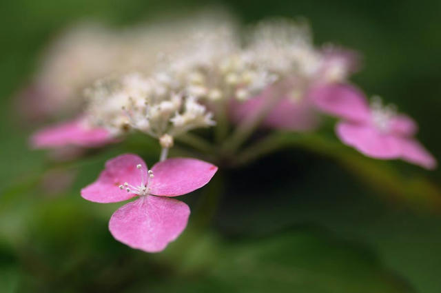 00e_120617C_2952.jpg