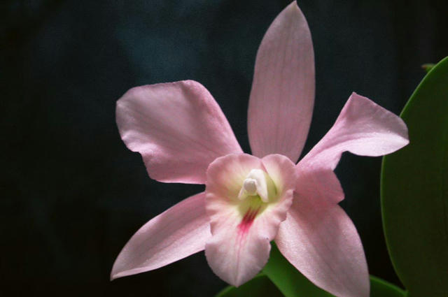 030814N8106.jpg