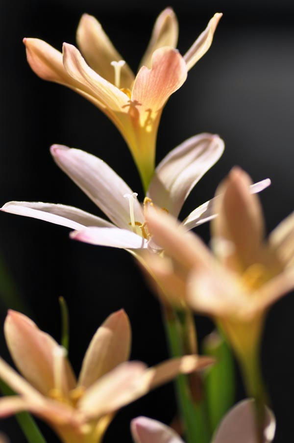 120908C_4338.jpg