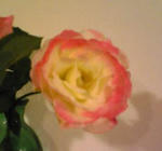 blogImage07071501.jpg