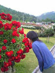 blogImage07071502.jpg