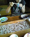 blogImage07071503.jpg
